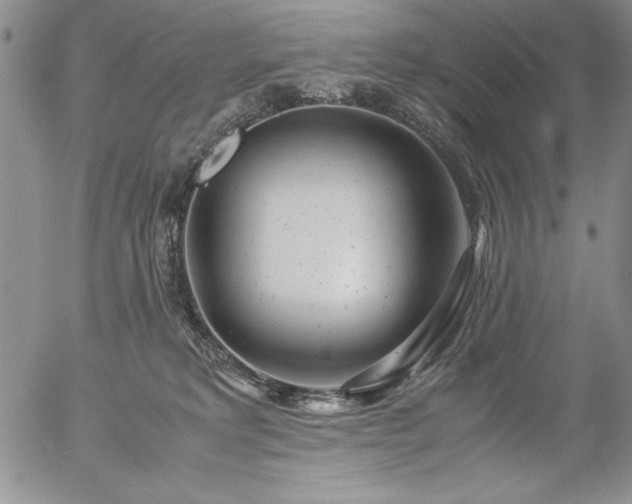 X0000057080229200509091256