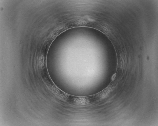 X0000057080230200509091256