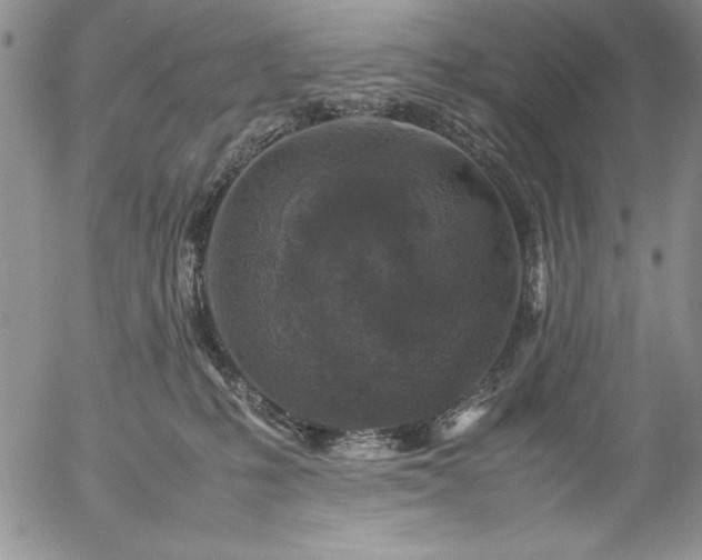 X0000057080231200509091256