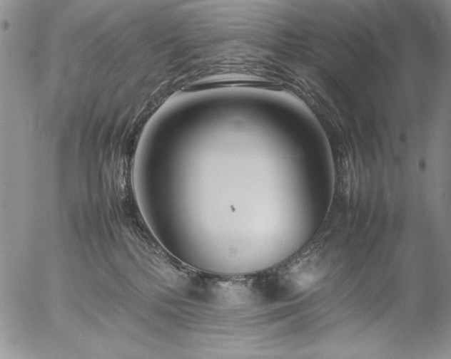 X0000057080232200509091256