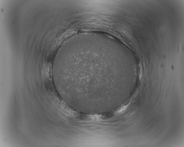 X0000057080233200509091256