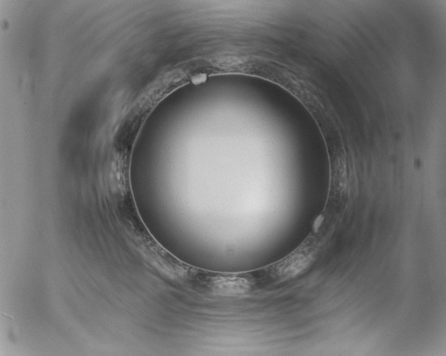 X0000057080234200509091256