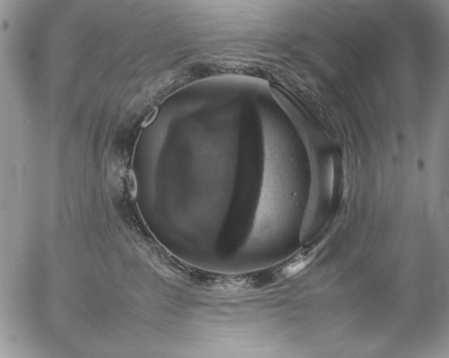 X0000057080235200509091256