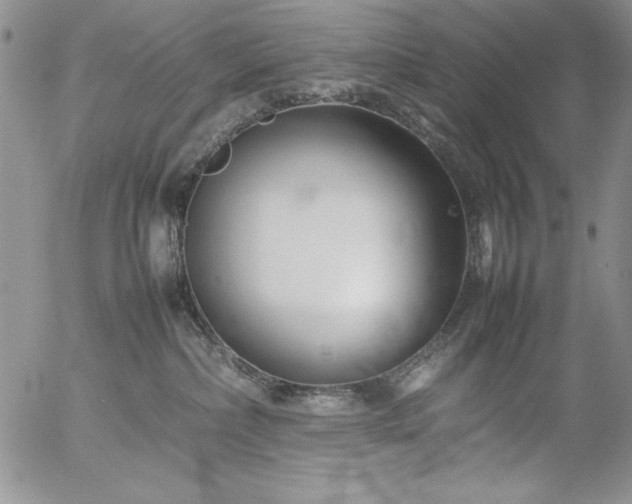 X0000057080236200509091256