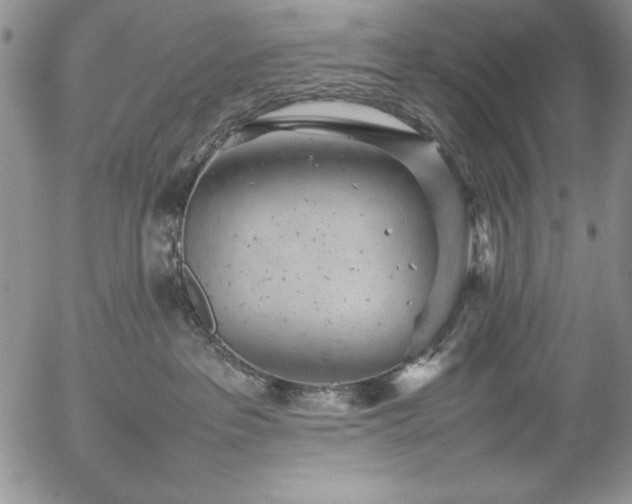 X0000057080237200509091256