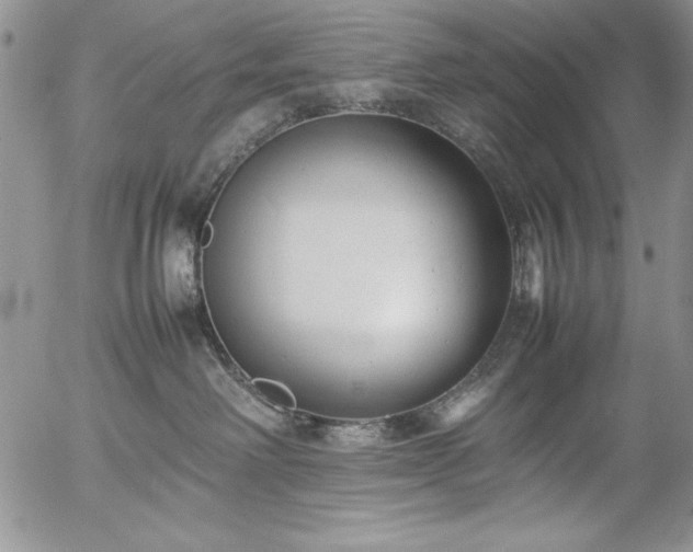 X0000057080238200509091256