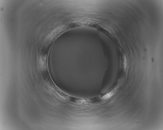 X0000057080239200509091256