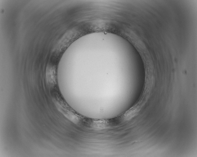 X0000057080240200509091256