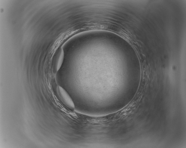 X0000057080241200509091255