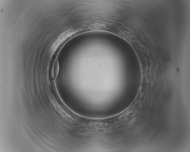 X0000057080242200509091255