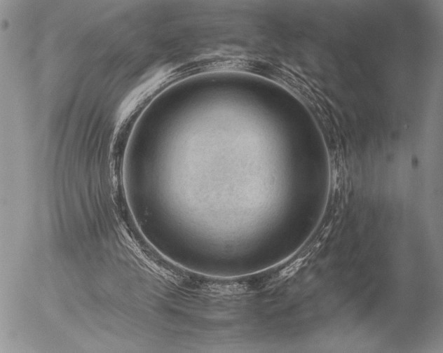 X0000057080245200509091255