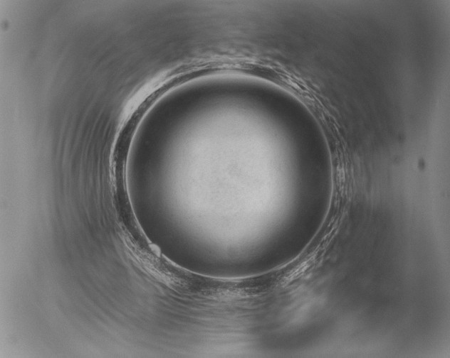 X0000057080246200509091255