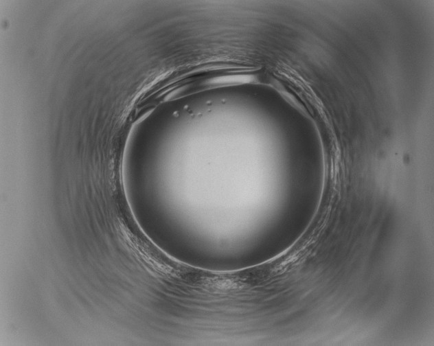 X0000057080249200509091255