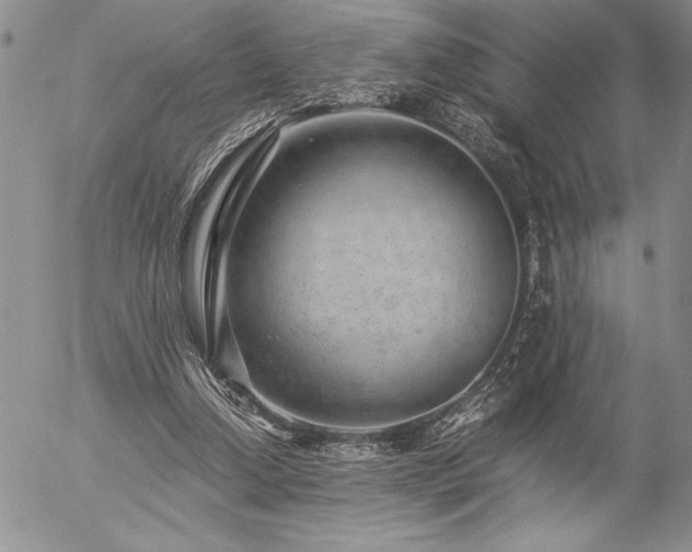 X0000057080250200509091255