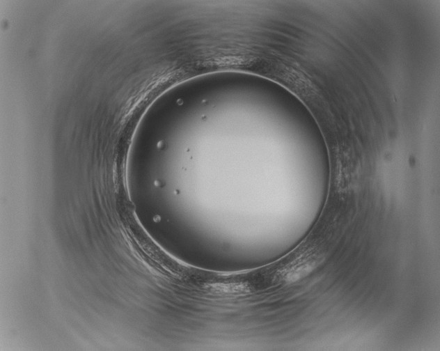 X0000057080251200509091255