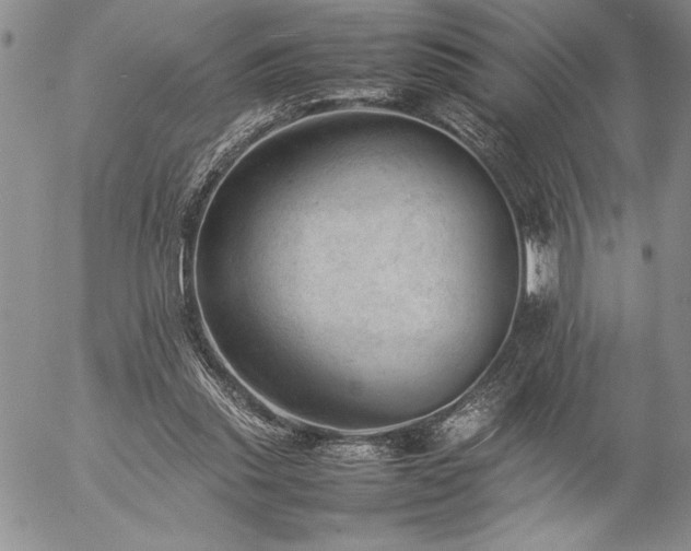 X0000057080253200509091255