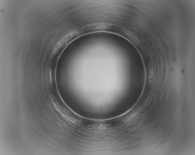 X0000057080254200509091255