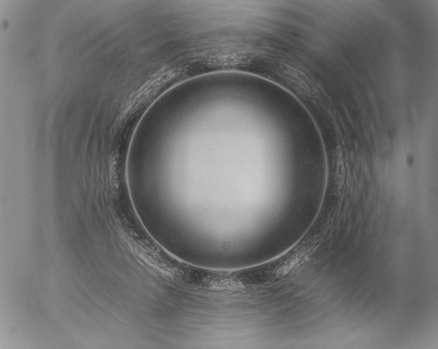 X0000057080258200509091255