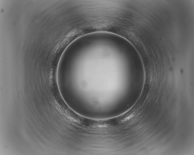 X0000057080260200509091255