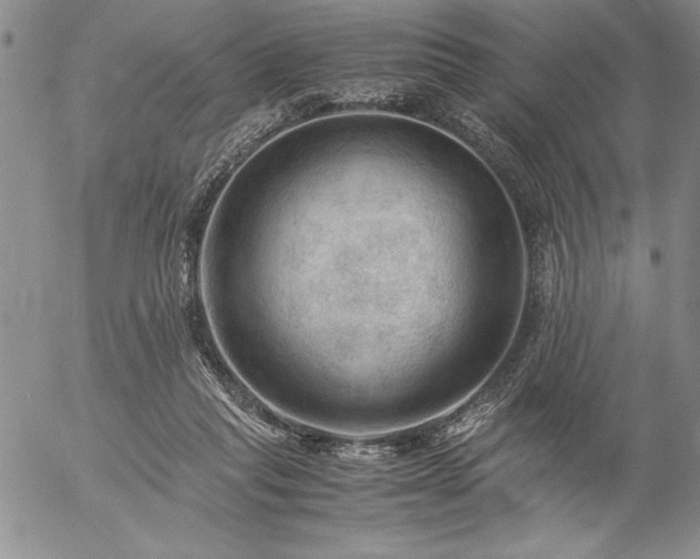 X0000057080261200509091255