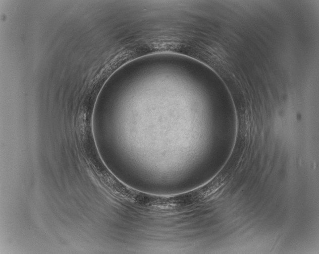 X0000057080263200509091255