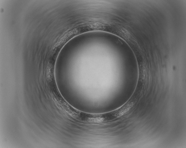 X0000057080266200509091255