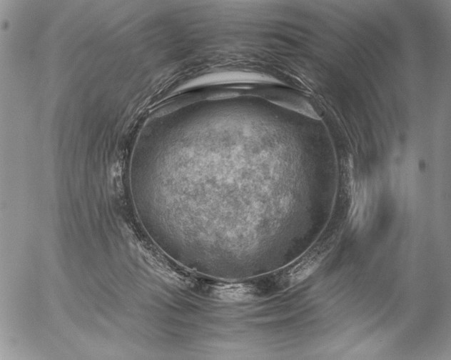 X0000057080269200509091255