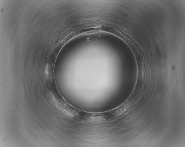 X0000057080270200509091255