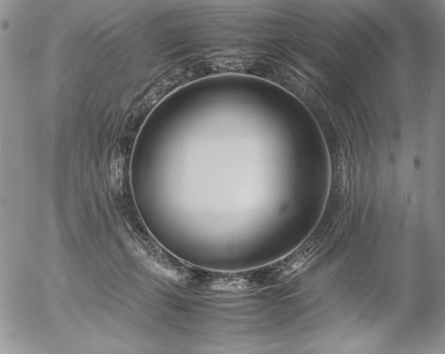 X0000057080271200509091255