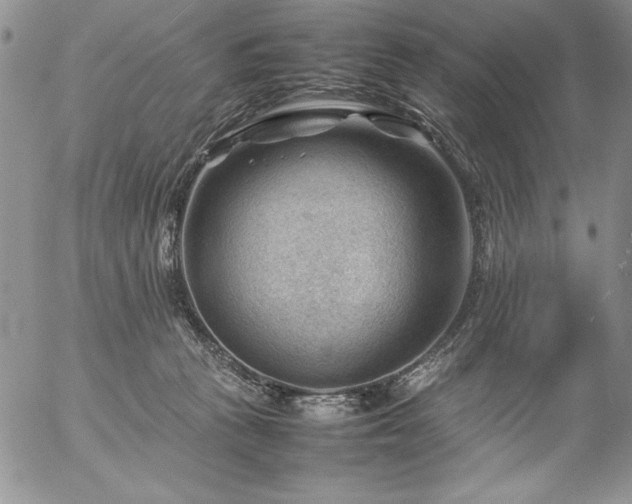 X0000057080273200509091255