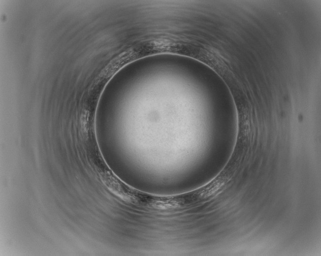 X0000057080275200509091255