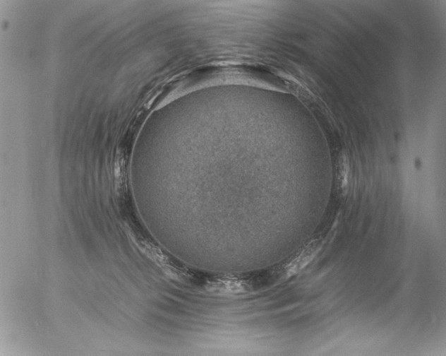 X0000057080276200509091255