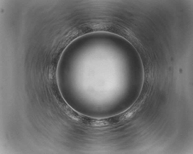 X0000057080277200509091255