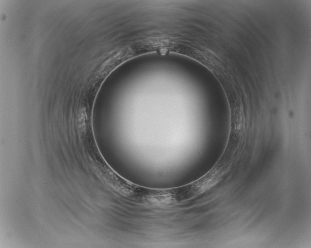 X0000057080279200509091255