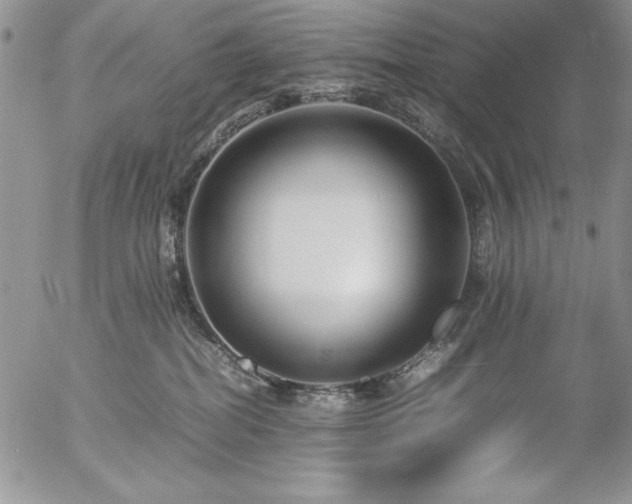 X0000057080282200509091255