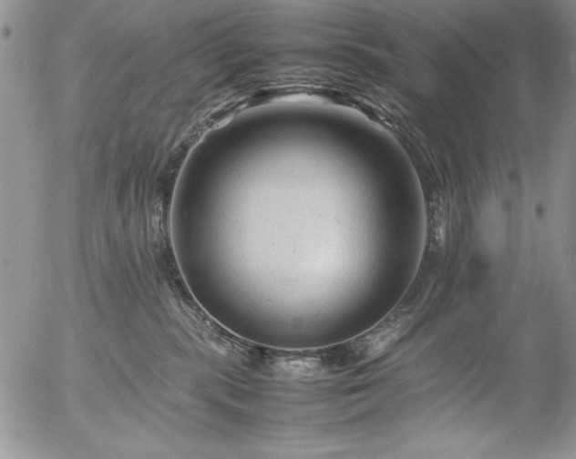 X0000057080283200509091256