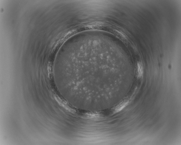 X0000057080284200509091256