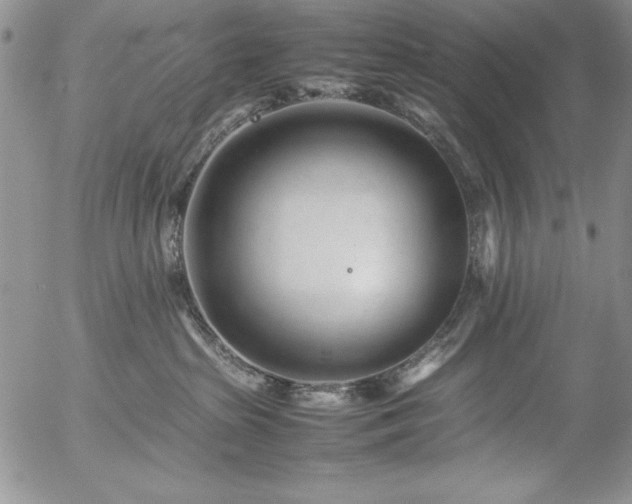 X0000057080285200509091256