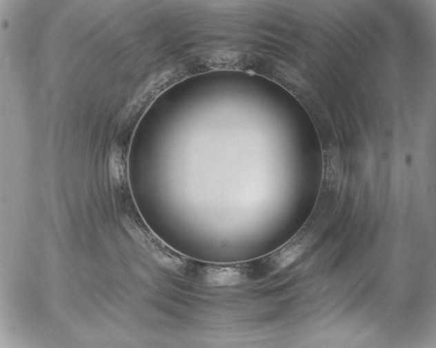 X0000057080287200509091256