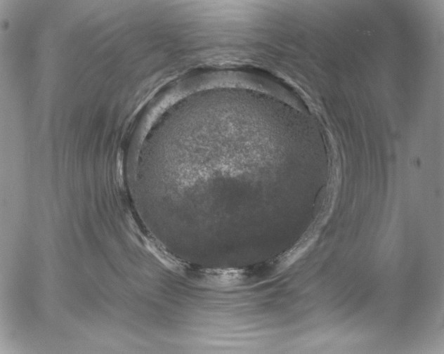 X0000057080288200509091256