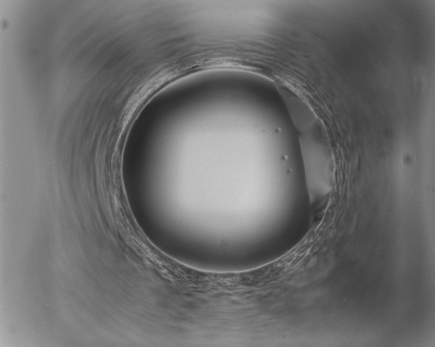 X0000057080289200509091255