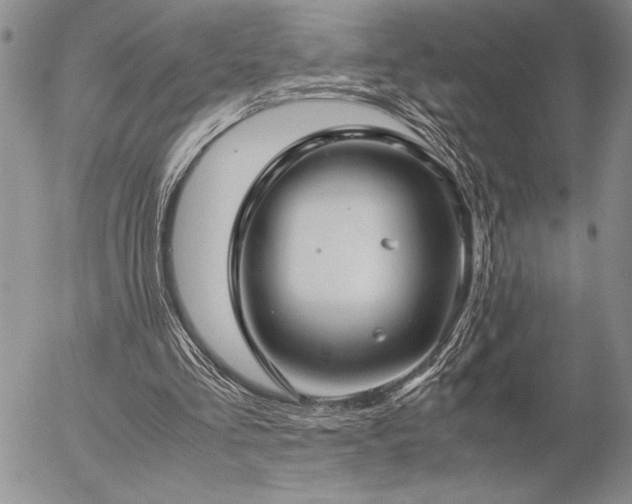 X0000057080293200509091255