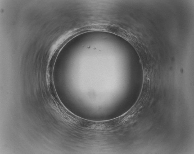 X0000057080294200509091255