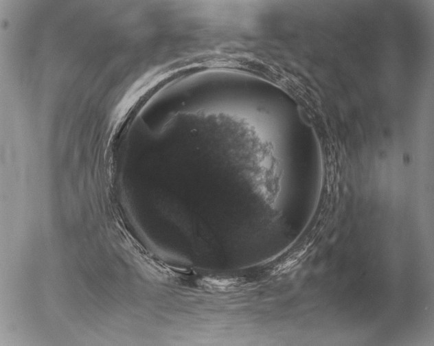 X0000057080295200509091255