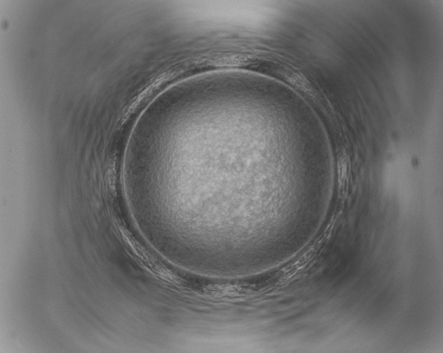 X0000057080297200509091255