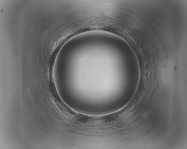 X0000057080299200509091255