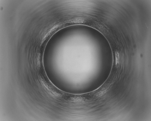 X0000057080300200509091255