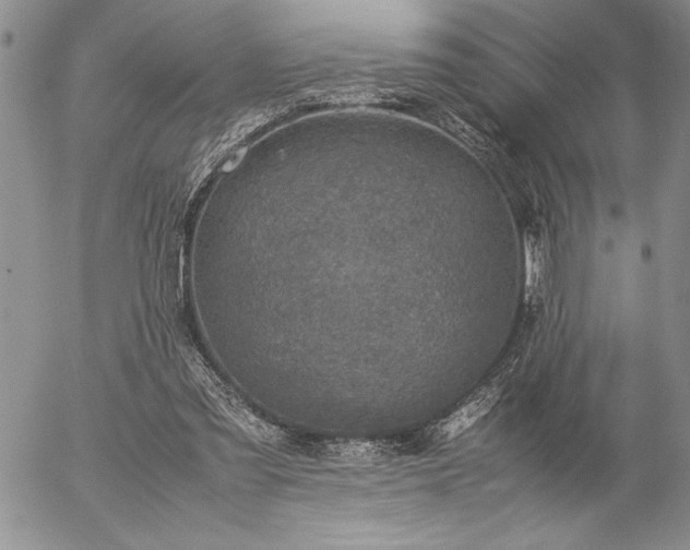 X0000057080301200509091255