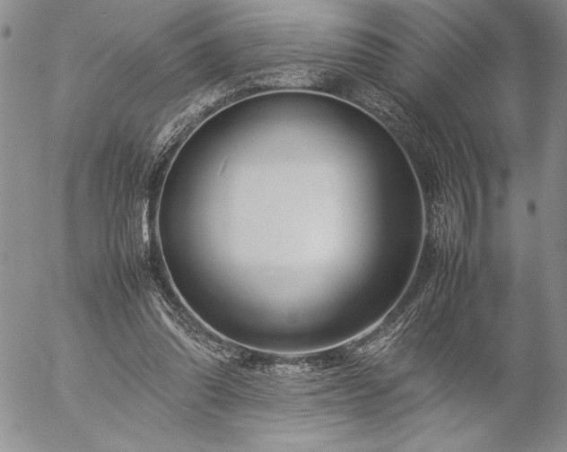 X0000057080302200509091255