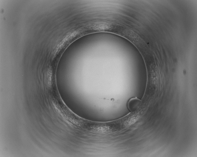 X0000057080304200509091255